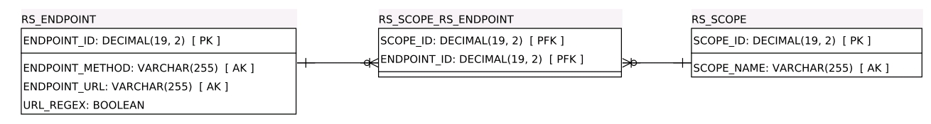 An entity relationship diagram for the Resource Server Provider's database.