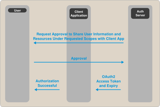 A diagram depicting how private end-users obtain authorization.